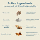 CANINE KEEPS - Canine Keeps Dog Hip and Joint Supplement 90 Masticables - The Red Vitamin MX - Cuidado De Cadera Y Articulaciones Para Perros - {{ shop.shopifyCountryName }}