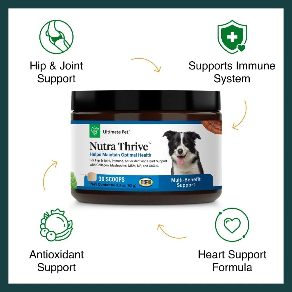 ULTIMATE PET - Ultimate Pet Nutrition Nutra Thrive Canine 40-in-1 Nutritional Powder 30 Servicios 93Gr. - The Red Vitamin MX - Multivitamínicos Para Perros - {{ shop.shopifyCountryName }}