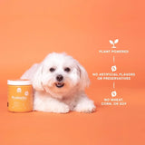 OPEN FARM - Open Farm Probiotic Chews 90 Masticables - The Red Vitamin MX - Probióticos Para Perros - {{ shop.shopifyCountryName }}
