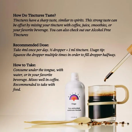 RAINBO - Rainbo Chaga Mushroom Tincture 3.4 Fl.Oz. - The Red Vitamin MX - Suplementos Alimenticios - {{ shop.shopifyCountryName }}