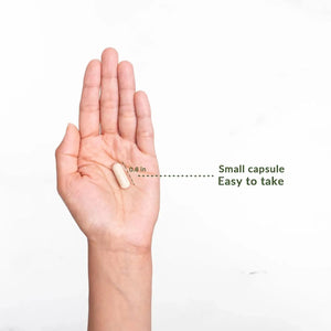 DRUVITA - Druvita Blood Sugar Smarts 60 Capsulas - The Red Vitamin MX - Suplementos Alimenticios - {{ shop.shopifyCountryName }}