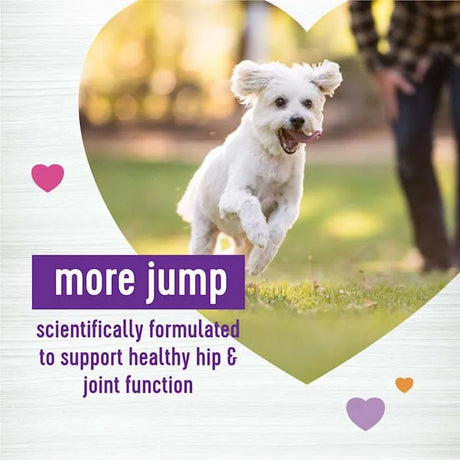 WELLNESS - Wellness Grilled Chicken Flavored Soft Chews Hip & Joint 45 Masticables - The Red Vitamin MX - Cuidado De Cadera Y Articulaciones Para Perros - {{ shop.shopifyCountryName }}
