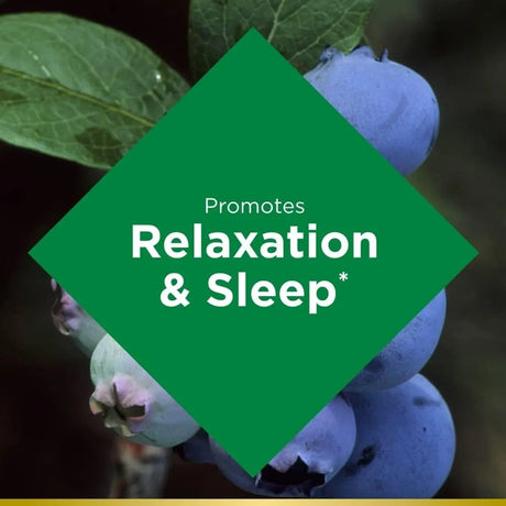NATURE'S BOUNTY - Nature’s Bounty Sleep Melatonin 10Mg. Gummy Blueberry 140 Gomitas - The Red Vitamin MX - Suplementos Alimenticios - {{ shop.shopifyCountryName }}