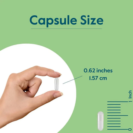BESTVITE - BESTVITE Vitamin K2 100mcg 120 Capsulas 2 Pack - The Red Vitamin MX - Suplementos Alimenticios - {{ shop.shopifyCountryName }}