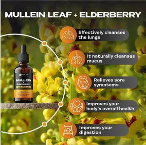 FABLAB - FabLab Mullein Leaf Extract with Elderberry 120,000Mg. 4 Fl.Oz. - The Red Vitamin MX - Suplementos Alimenticios - {{ shop.shopifyCountryName }}