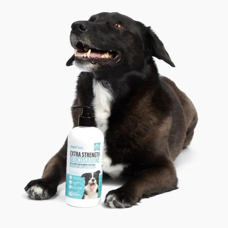 ZOOMI PETS - Zoomi Pets Liquid Glucosamine for Dogs 16 Fl.Oz. - The Red Vitamin MX - Cuidado De Cadera Y Articulaciones Para Perros - {{ shop.shopifyCountryName }}