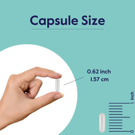 BESTVITE - BESTVITE Melatonin 20Mg. 120 Capsulas 2 Pack - The Red Vitamin MX - Suplementos Alimenticios - {{ shop.shopifyCountryName }}