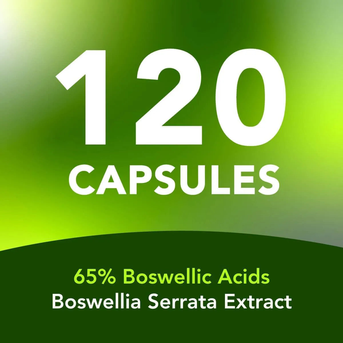 AMANDEAN - AMANDEAN Boswellia Serrata Extract 500Mg. 120 Capsulas - The Red Vitamin MX - Suplementos Alimenticios - {{ shop.shopifyCountryName }}