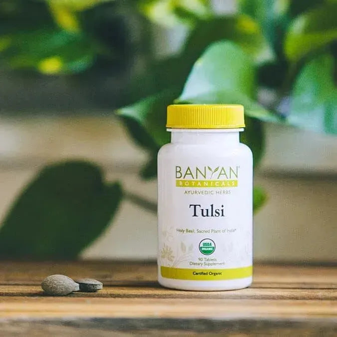 BANYAN - Banyan Botanicals Organic Tulsi Holy Basil 90 Tabletas - The Red Vitamin MX - Suplementos Alimenticios - {{ shop.shopifyCountryName }}