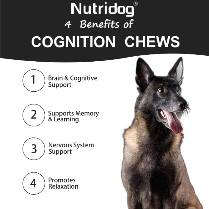 NUTRIDOG - Nutridog Advanced Cognition Chews for Dogs 120 Masticables - The Red Vitamin MX - Suplementos Herbales Para Perros - {{ shop.shopifyCountryName }}