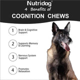 NUTRIDOG - Nutridog Advanced Cognition Chews for Dogs 120 Masticables - The Red Vitamin MX - Suplementos Herbales Para Perros - {{ shop.shopifyCountryName }}