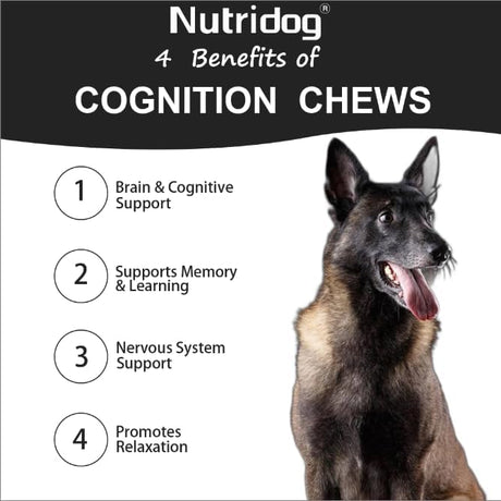 NUTRIDOG - Nutridog Advanced Cognition Chews for Dogs 120 Masticables - The Red Vitamin MX - Suplementos Herbales Para Perros - {{ shop.shopifyCountryName }}