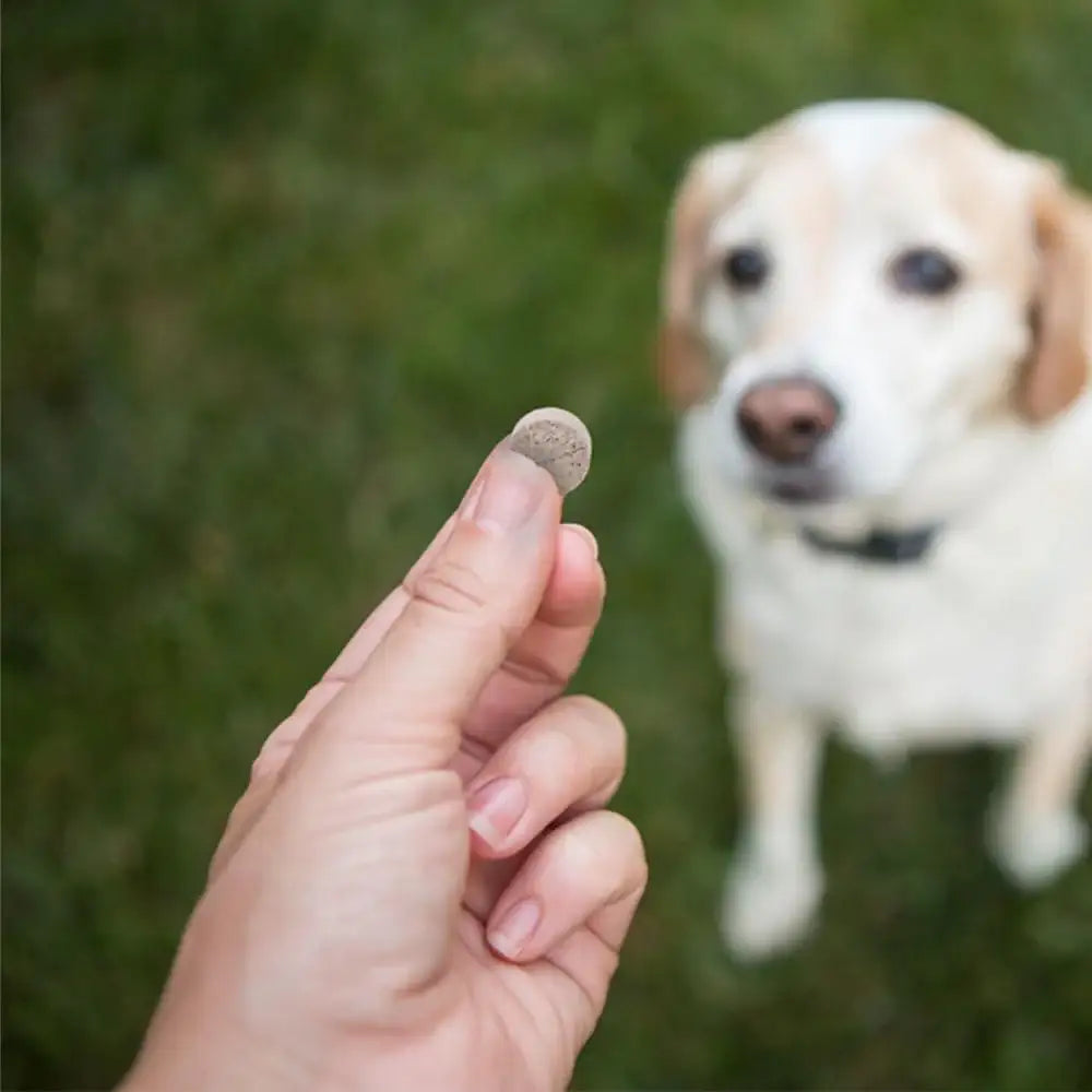 JOINT MAX - Joint Max Triple Strength Chewable Tablets for Dogs 120 Tabletas - The Red Vitamin MX - Cuidado De Cadera Y Articulaciones Para Perros - {{ shop.shopifyCountryName }}