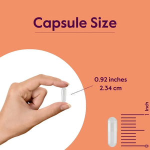 BESTVITE - BESTVITE L-Ornithine 500Mg. 240 Capsulas - The Red Vitamin MX - Suplementos Alimenticios - {{ shop.shopifyCountryName }}
