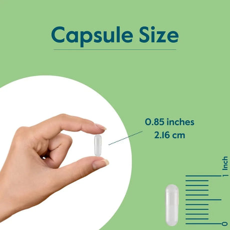 BESTVITE - BESTVITE Vitamin B-1 500Mg. 120 Capsulas 2 Pack - The Red Vitamin MX - Suplementos Alimenticios - {{ shop.shopifyCountryName }}