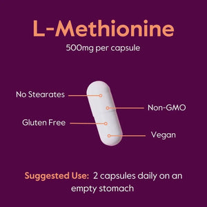BESTVITE - BESTVITE L-Methionine 500Mg. 120 Capsulas 2 Pack - The Red Vitamin MX - Suplementos Alimenticios - {{ shop.shopifyCountryName }}
