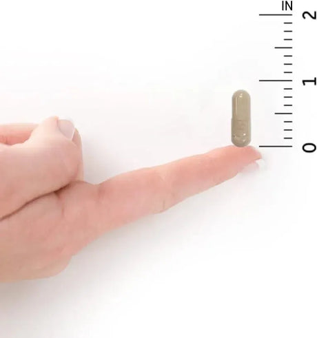 GARDEN OF LIFE - Garden of Life Vitamin Code Healthy Blood 60 Capsulas - The Red Vitamin MX - Suplementos Alimenticios - {{ shop.shopifyCountryName }}