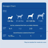 PHYCOX - PhyCox Canine Joint Support 120 Masticables - The Red Vitamin MX - Cuidado De Cadera Y Articulaciones Para Perros - {{ shop.shopifyCountryName }}