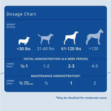 PhyCox Canine Joint Support 60 Masticables