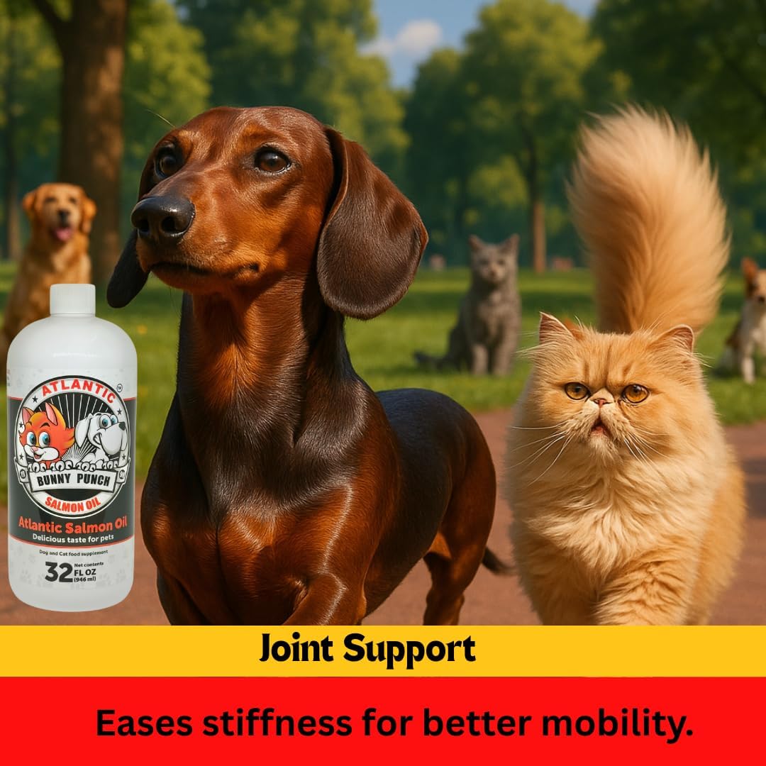 BUNNY PUNCH Salmon Oil for Dogs & Cats 32 Fl.Oz.