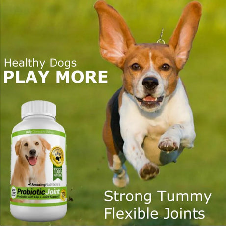 AMAZING NUTRITIONALS - Amazing Nutritionals Probiotics for Dogs 120 Masticables - The Red Vitamin MX - Probióticos Para Perros - {{ shop.shopifyCountryName }}