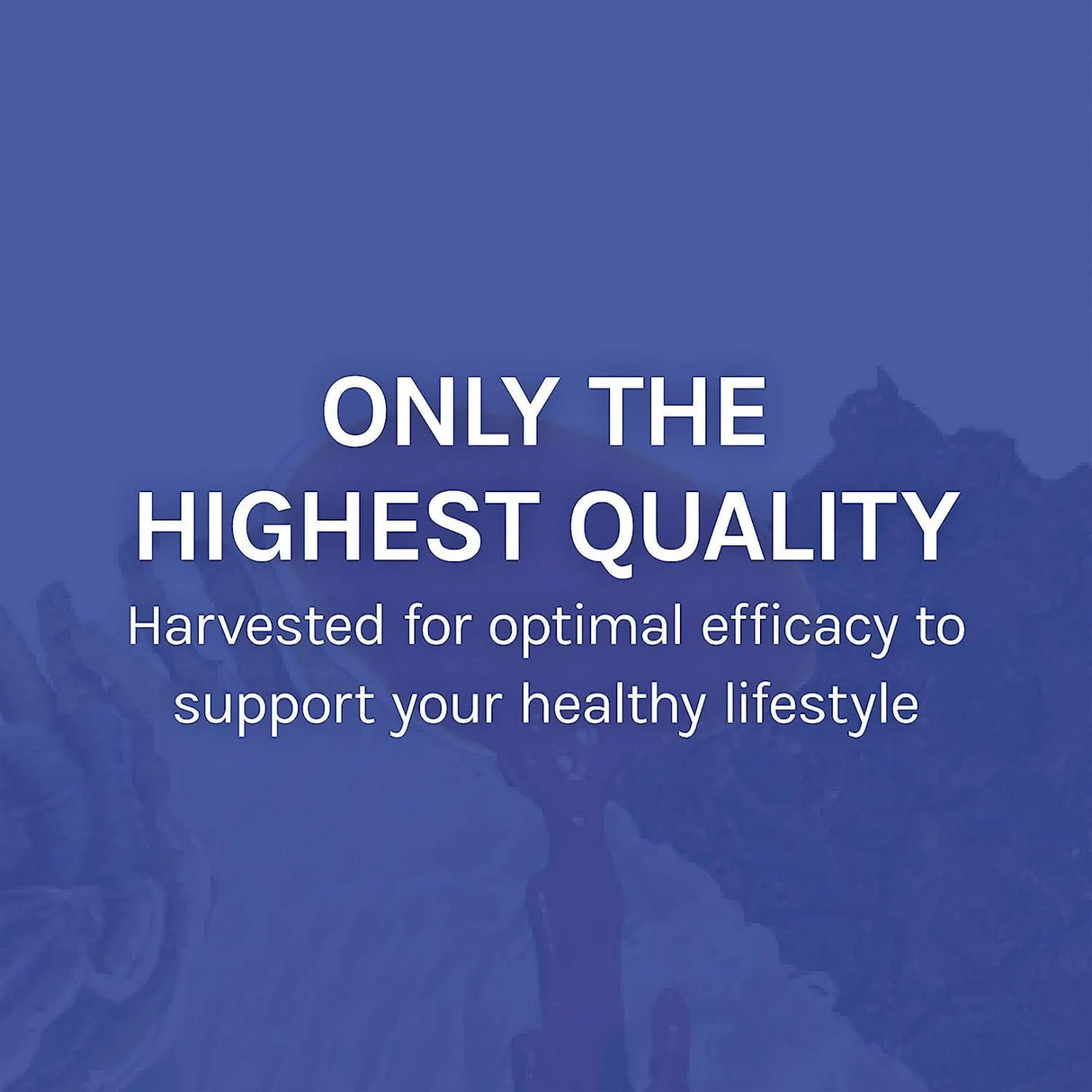 HOST DEFENSE - Host Defense Stamets 7 Species Blend 30 Capsulas - The Red Vitamin MX - Suplementos Alimenticios - {{ shop.shopifyCountryName }}