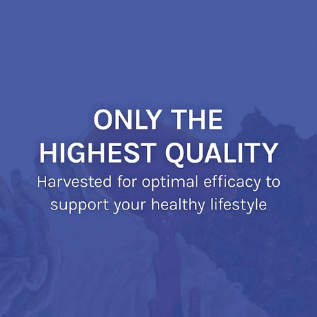 HOST DEFENSE - Host Defense Stamets 7 Species Blend 60 Capsulas - The Red Vitamin MX - Suplementos Alimenticios - {{ shop.shopifyCountryName }}