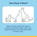 ProDen PlaqueOff Powder for Cats 40Gr.