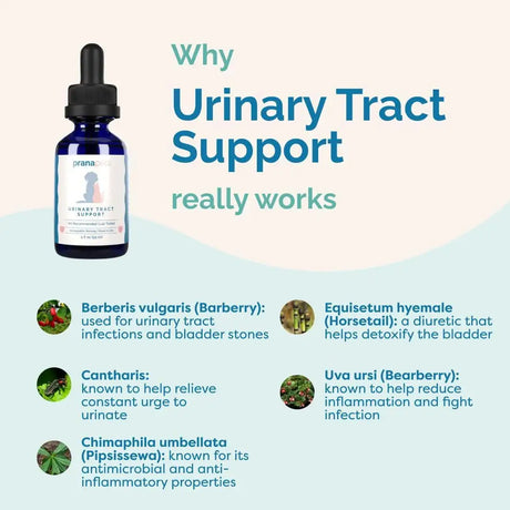PRANAPETS - PranaPets Urinary Tract Support Liquid Supplement for Pets 2 Fl.Oz. - The Red Vitamin MX - Salud De Tracto Urinario Para Perros - {{ shop.shopifyCountryName }}
