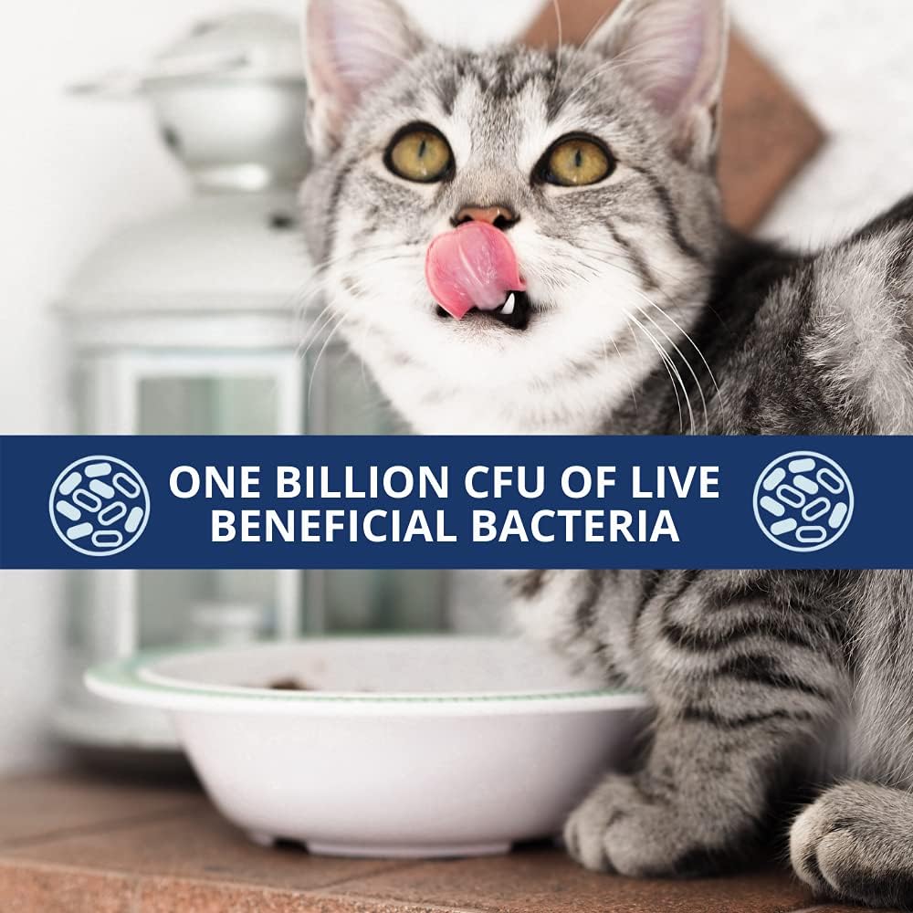 Under the Weather Pet Probiotics Powder for Cats 72Gr.
