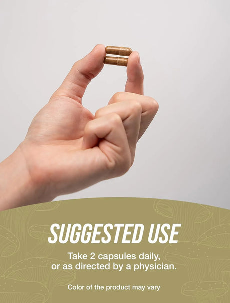 BULK SUPPLEMENTS - Bulk Supplements Reishi Mushroom 1000Mg. 240 Capsulas - The Red Vitamin MX - Suplementos Alimenticios - {{ shop.shopifyCountryName }}