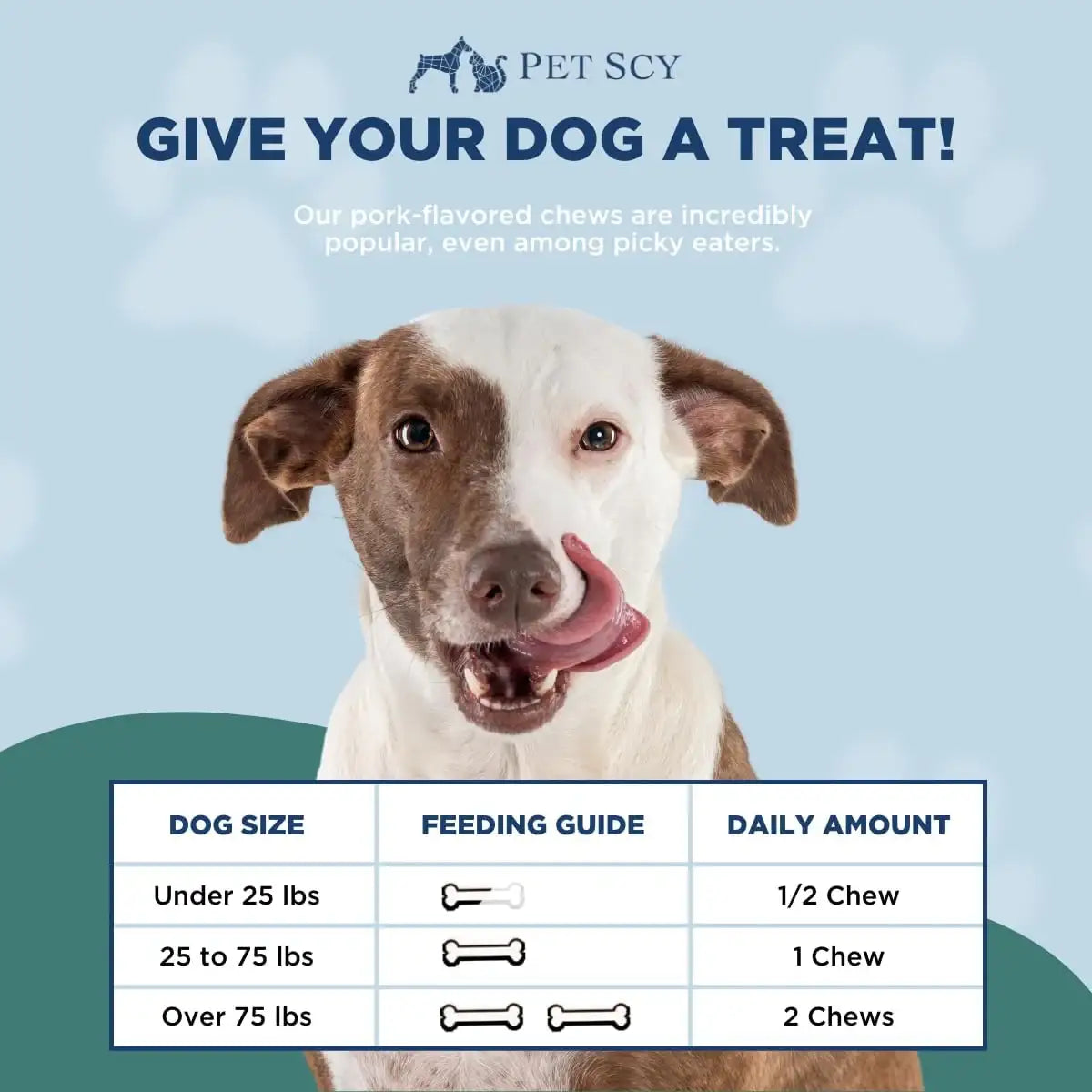 PETSCY - PetScy Dog Itch Relief Chews 30 Masticables - The Red Vitamin MX - Remedios Para La Picazón De Perros - {{ shop.shopifyCountryName }}