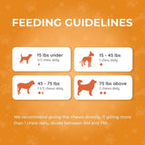 PAWLABS - Pawlabs G-Max Joint Support for Dogs Duck Flavor 60 Masticables - The Red Vitamin MX - Cuidado De Cadera Y Articulaciones Para Perros - {{ shop.shopifyCountryName }}