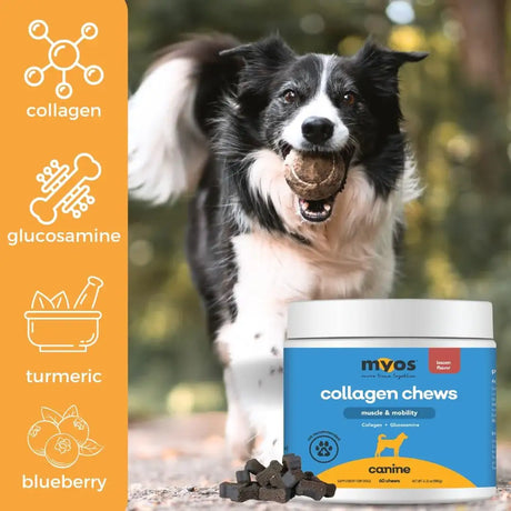 MYOS - MYOS Canine Muscle & Mobility Chews 60 Masticables - The Red Vitamin MX - Cuidado De Cadera Y Articulaciones Para Perros - {{ shop.shopifyCountryName }}