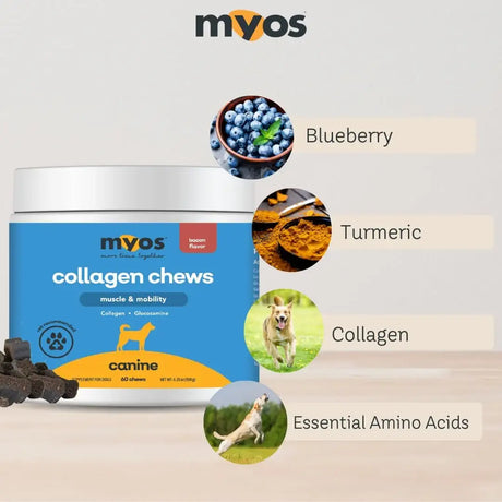 MYOS - MYOS Canine Muscle & Mobility Chews 60 Masticables - The Red Vitamin MX - Cuidado De Cadera Y Articulaciones Para Perros - {{ shop.shopifyCountryName }}