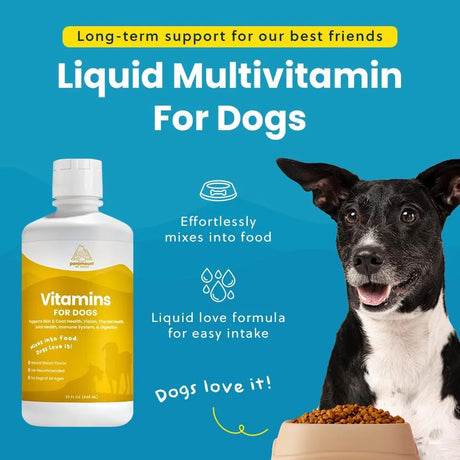 PARAMOUNT PET HEALTH - Paramount Pet Health Liquid Multivitamin for Dogs with Probiotics 946Ml. - The Red Vitamin MX - Multivitamínicos Para Perros - {{ shop.shopifyCountryName }}