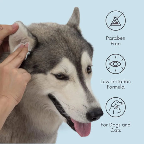 CLEAN PET - Clean Pet Eye & Ear Pet Wipes Original 100 Toallitas - The Red Vitamin MX - Cuidado De Los Ojos De Los Perros - {{ shop.shopifyCountryName }}