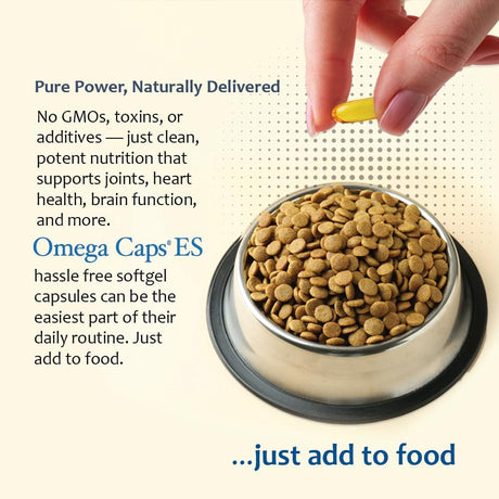 PET HEALTH SOLUTIONS - Pet Health Solutions Omega-Caps Extra Strength for Large Breeds 60 Capsulas Blandas - The Red Vitamin MX - Aceite De Pescado Para Perros - {{ shop.shopifyCountryName }}