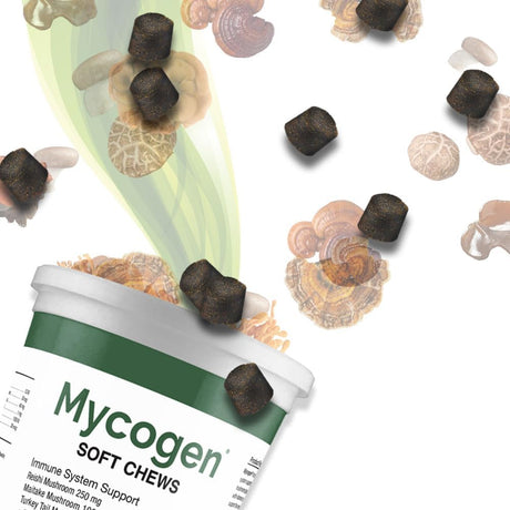 PET HEALTH SOLUTIONS - Pet Health Solutions Mycogen for Dogs Vitamins with 8 Types of Mushrooms 60 Masticables - The Red Vitamin MX - Suplementos Herbales Para Perros - {{ shop.shopifyCountryName }}