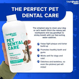 LIQUIDHEALTH - LIQUIDHEALTH Pet Dental Care Water Additive for Dogs & Cats 473Ml. - The Red Vitamin MX - Cuidado Dental Para Perros - {{ shop.shopifyCountryName }}