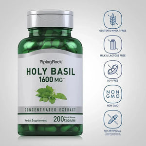 PIPING ROCK - Piping Rock Holy Basil Extract 1600Mg. 200 Capsulas - The Red Vitamin MX - Suplementos Alimenticios - {{ shop.shopifyCountryName }}