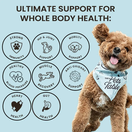 THE PETS TABLE - The Pets Table 8-in-1 Soft Chews Chicken Flavored All in One Supplement for Dogs 50 Masticables - The Red Vitamin MX - Multivitamínicos Para Perros - {{ shop.shopifyCountryName }}