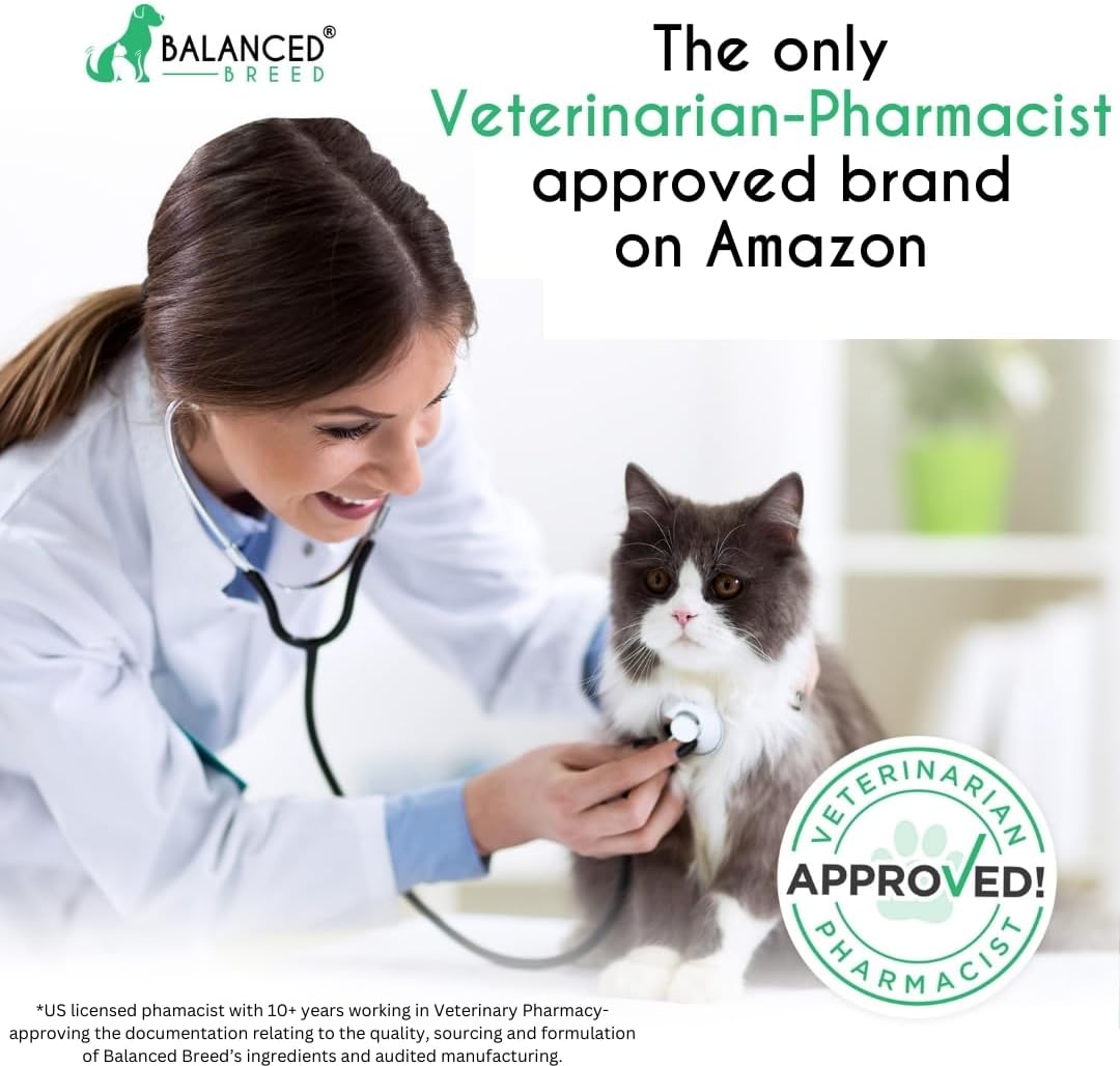 Balanced Breed L-Lysine Cats Immune Support Soft Chews 60 Masticables
