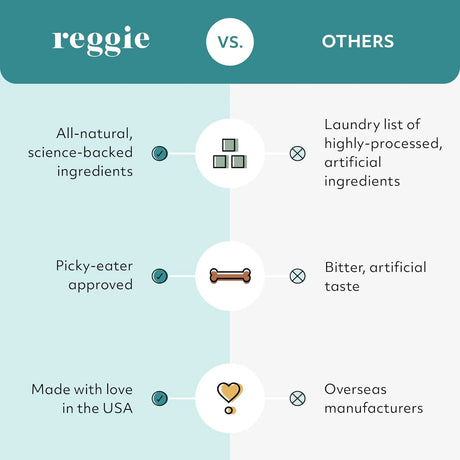 REGGIE - Reggie Bright Bite Dental Powder for Dogs 60 Servicios - The Red Vitamin MX - Cuidado Dental Para Perros - {{ shop.shopifyCountryName }}