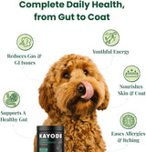 Kayode Canine NutriGreens Vitamins & Probiotics for Dogs 90 Masticables