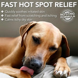VET'S BEST - Vet's Best Dog Hot Spot Itch Relief Spray for Dogs 16 Fl.Oz. - The Red Vitamin MX - Remedios Para La Picazón De Perros - {{ shop.shopifyCountryName }}
