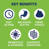 UNDER THE WEATHER PET - Under the Weather Pet Oral Probiotic and Prebiotic Gel - The Red Vitamin MX - Probióticos Para Perros - {{ shop.shopifyCountryName }}