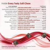 JOINT MAX - Joint Max Triple Strength Chewable Tablets for Dogs 120 Tabletas - The Red Vitamin MX - Cuidado De Cadera Y Articulaciones Para Perros - {{ shop.shopifyCountryName }}