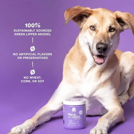 OPEN FARM - Open Farm Hip & Joint Chews Dog Supplement 90 Masticables - The Red Vitamin MX - Cuidado De Cadera Y Articulaciones Para Perros - {{ shop.shopifyCountryName }}