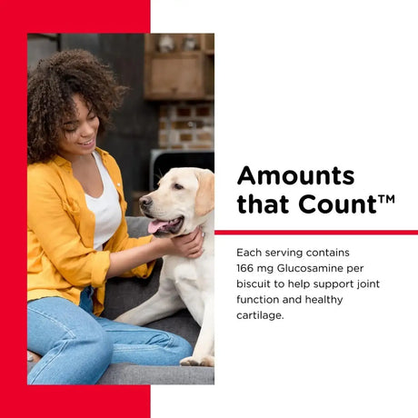 NUTRI-VET - Nutri-Vet Hip & Joint Biscuits for Dogs 454Gr. 2 Pack - The Red Vitamin MX - Cuidado De Cadera Y Articulaciones Para Perros - {{ shop.shopifyCountryName }}